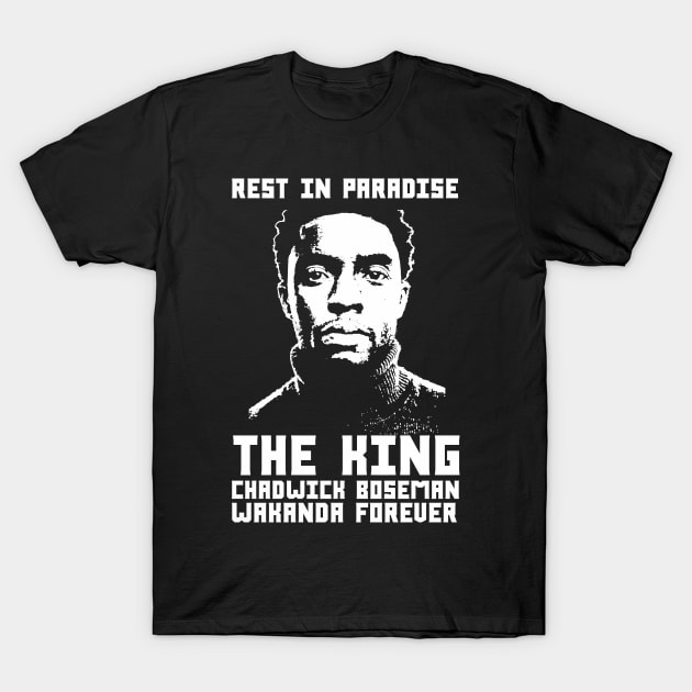 Chadwick Boseman Rest In Paradise T-Shirt by Egit